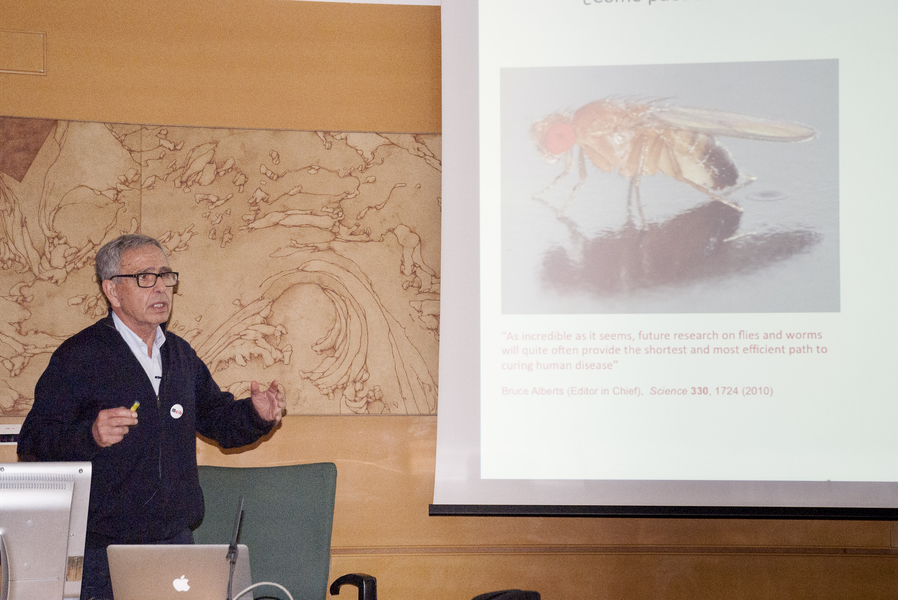 Opening lecture of “Frontiers in MCIB” máster module: Ginés Morata, Principe de Asturias Award