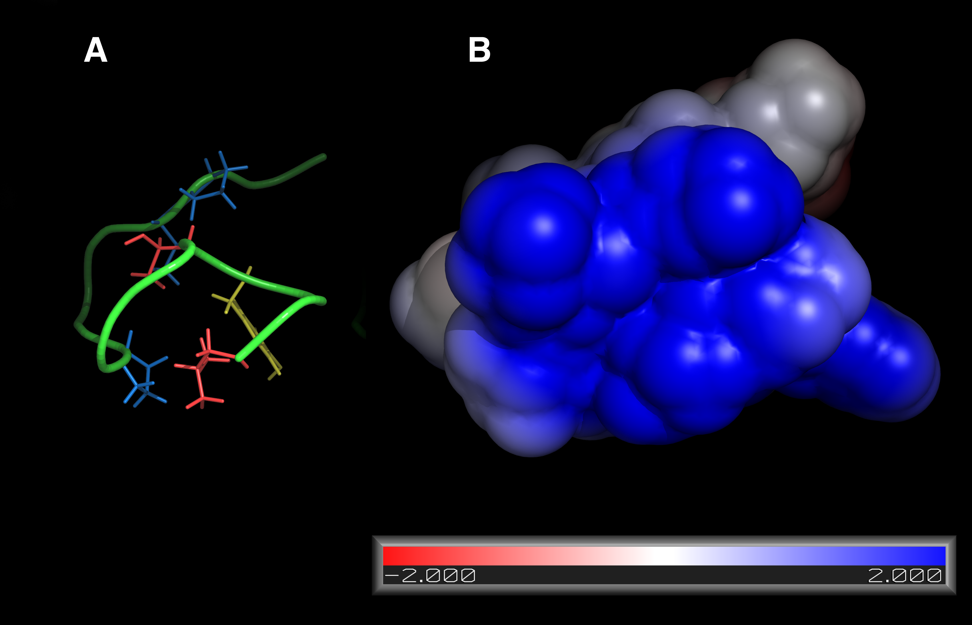 Discovery and characterization of a peptide which prevents the recognition of the CXCR4 receptor