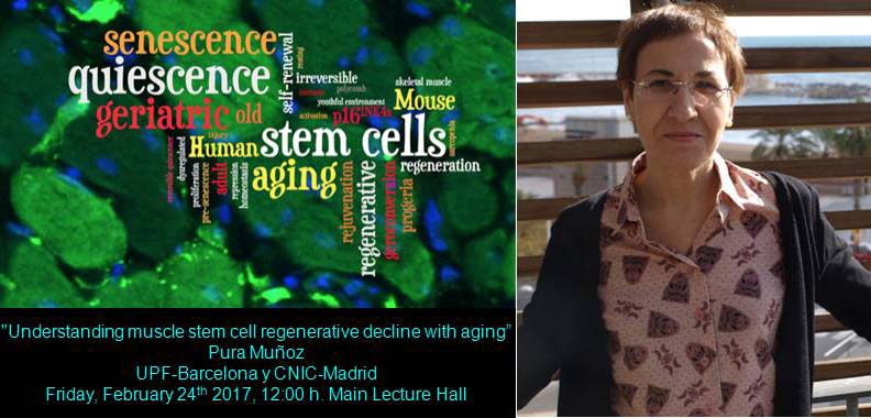 Understanding muscle stem cell regenerative decline with aging.