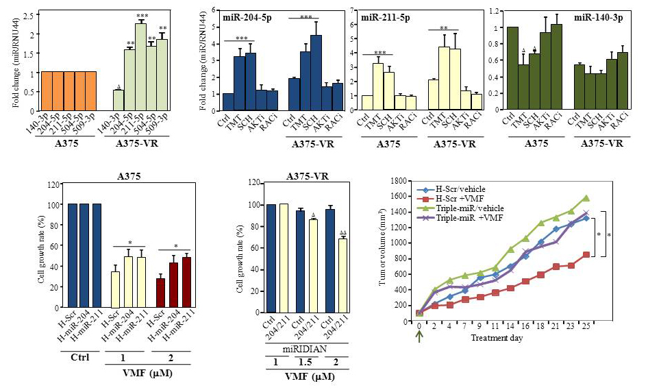 Identified a mechanism for resistance in melanoma