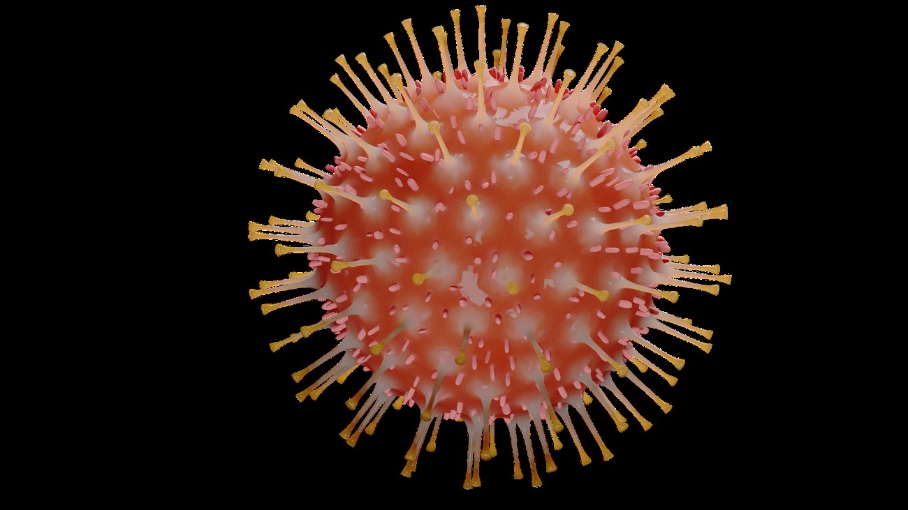 coronavirus