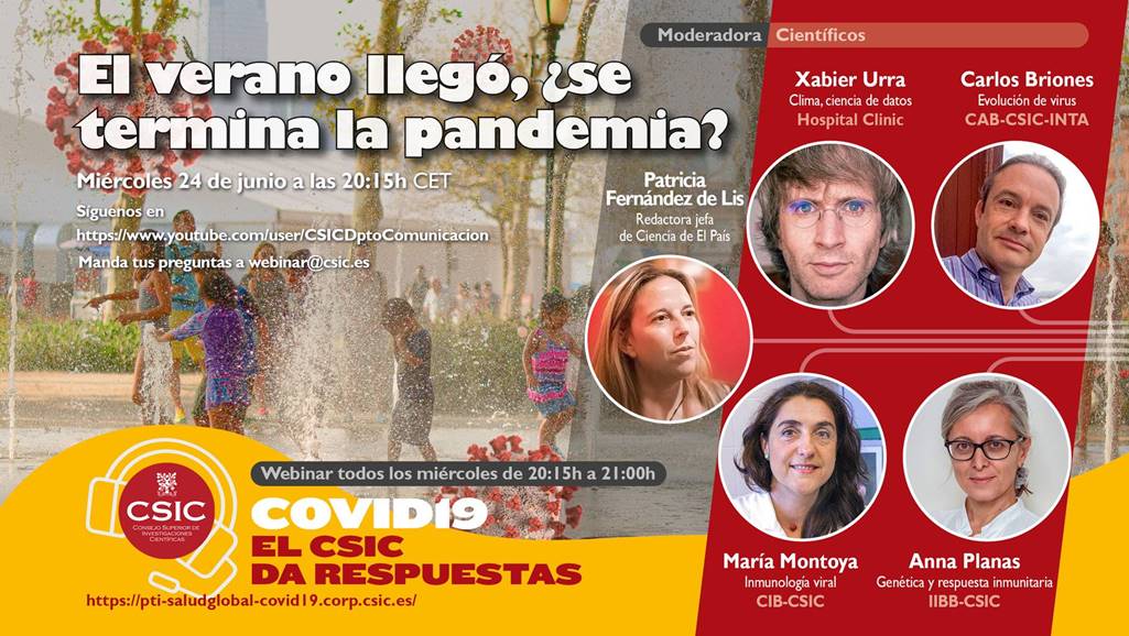 cartel