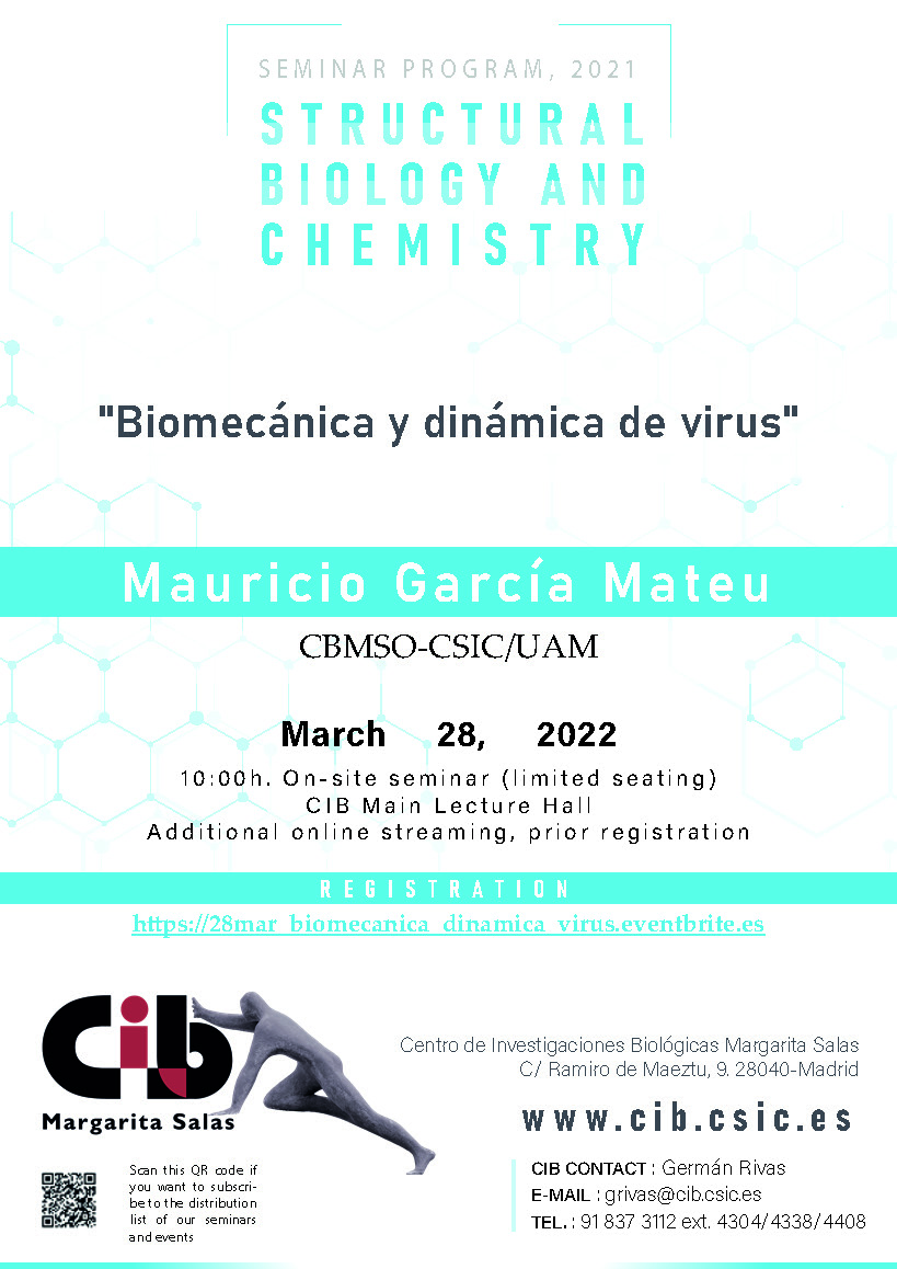cartel