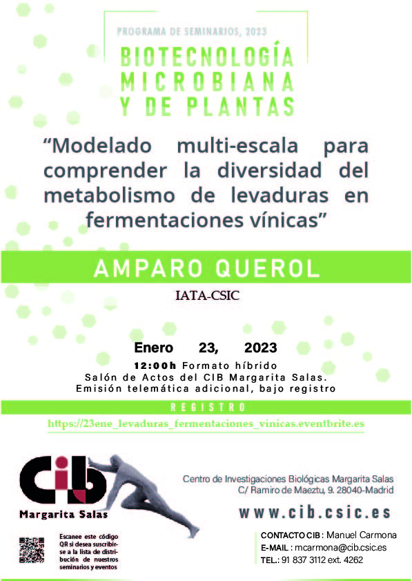 Cartel del seminario de Amparo Querol del 23 de enero de 2023