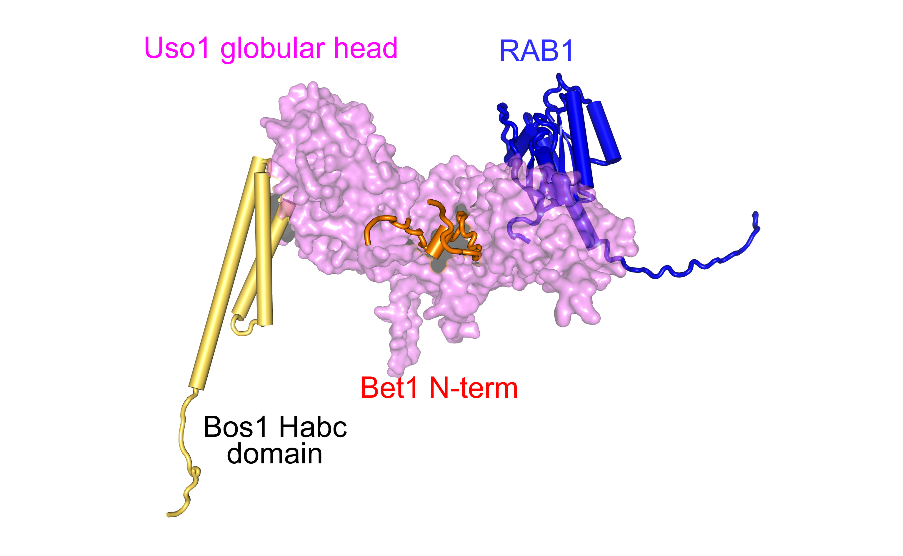 image of the protein structure