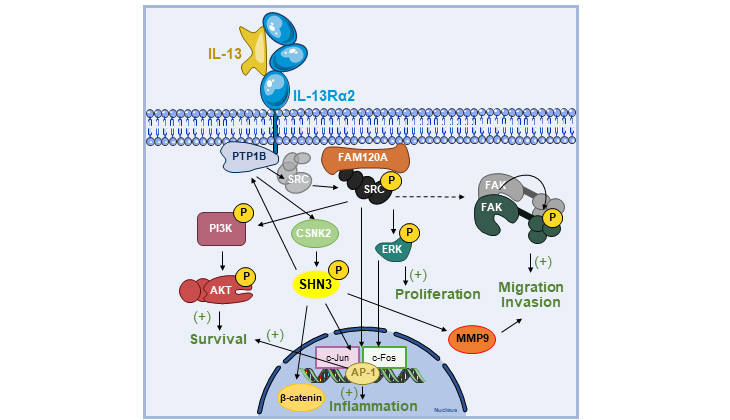 [Nature Cell Death & Disease 2023]