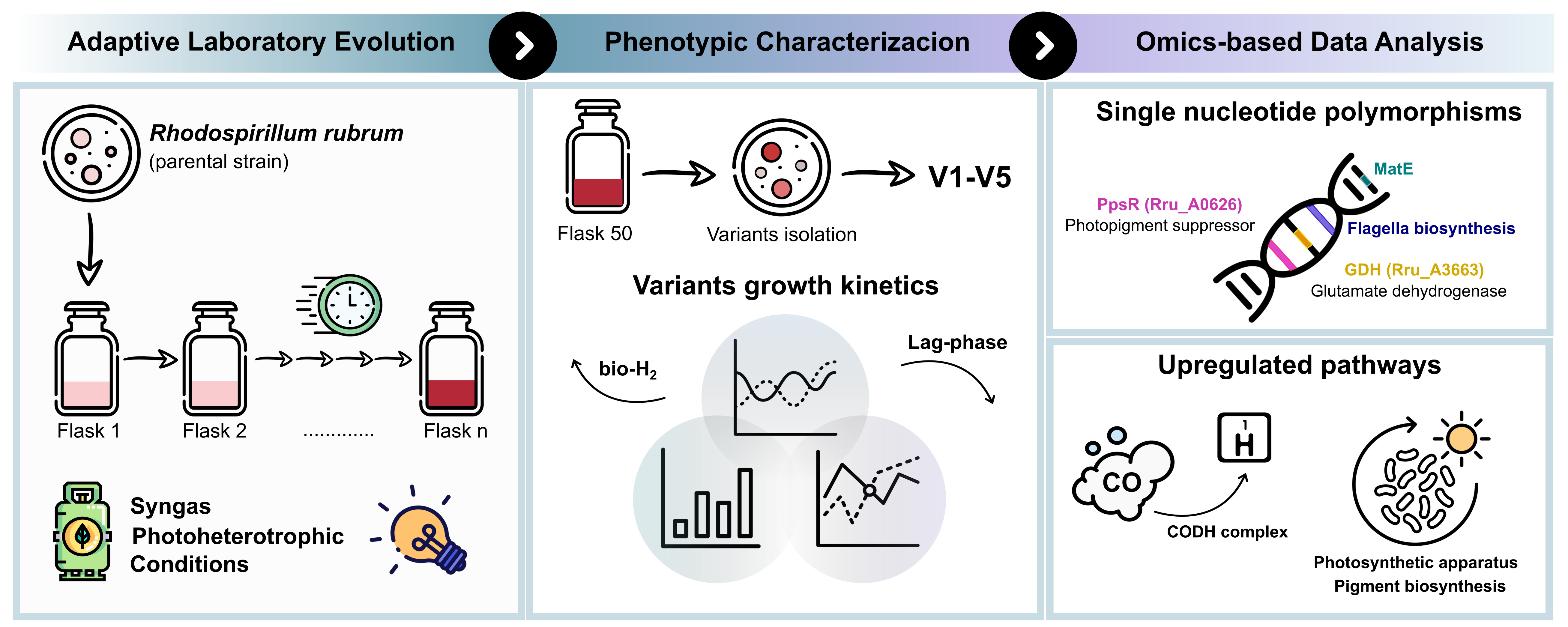 [Graphical abstract Bioresource Technology 2024]