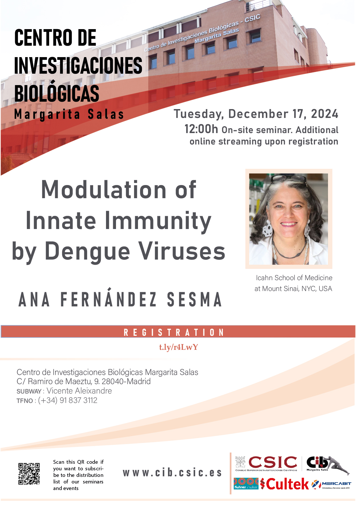 Cartel del seminario de Ana Fernández Sesma del 17 de diciembre de 2024