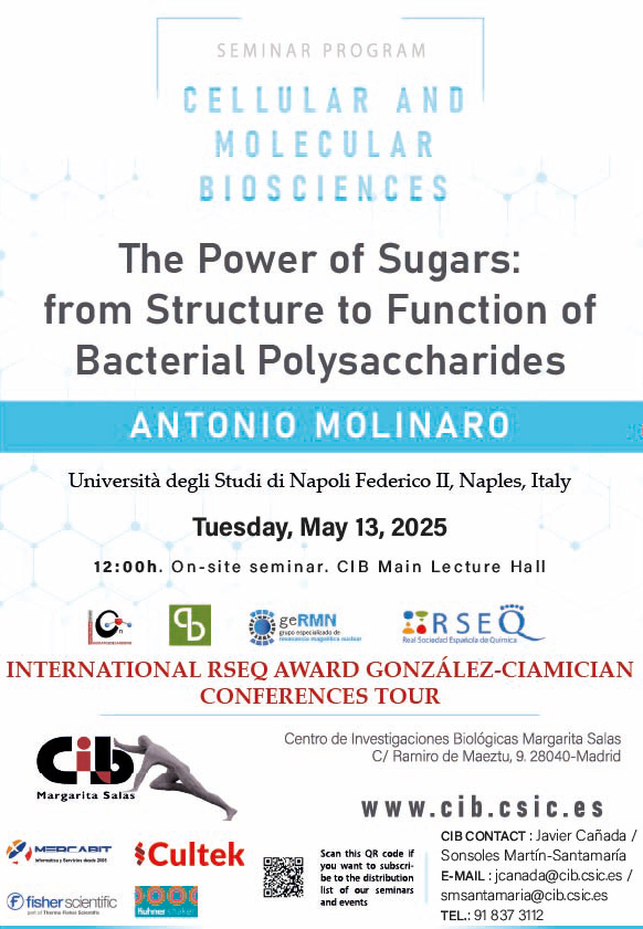 Cartel del seminario de Antonio Molinaro del 13 de mayo de 2025