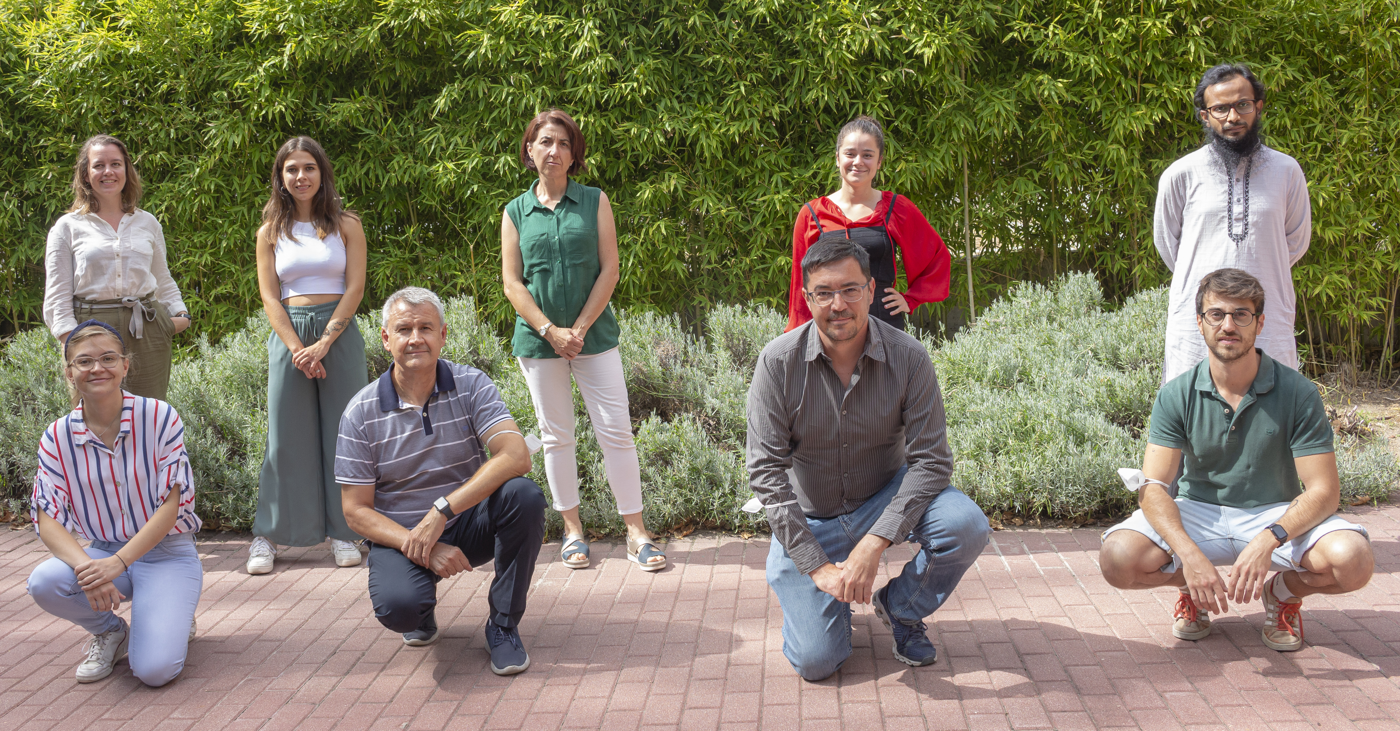 Bermejo group