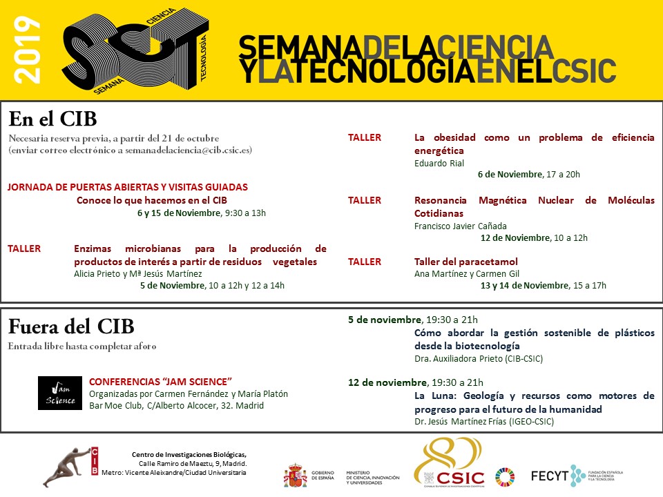 actividades