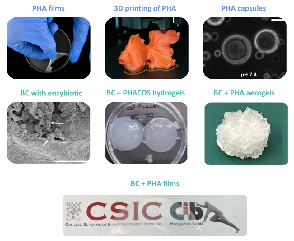 Advanced biomaterials