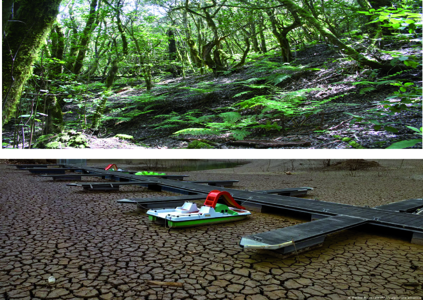 Figure. Recent aspects of what our Planet Earth looks like, depending on our attitude towards it. Upper panel: The Garajonay National Park (La Gomera, Canary Islands) in the Fall of 2023. Credits: A. Bravo and M. Espinosa. Lower panel: The surroundings of Barcelona in the winter of 2024. Credits: Emilio Morenatti/AP/dpa/picture alliance.