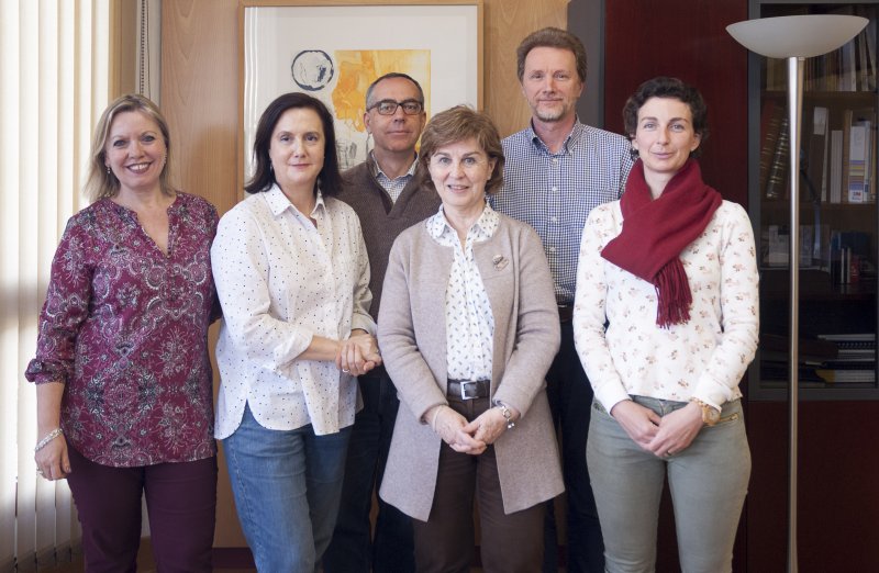 Management Team