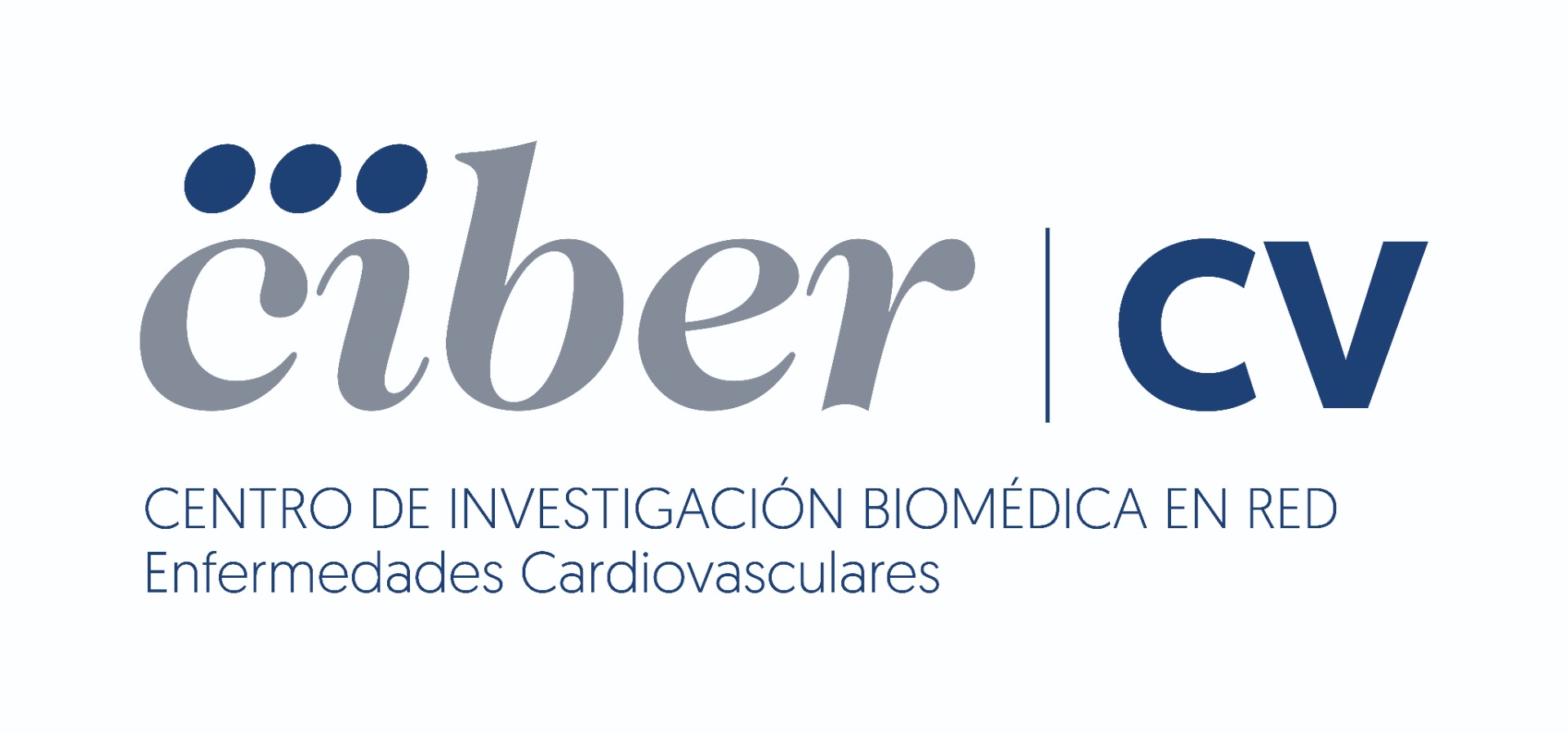 cibeercv