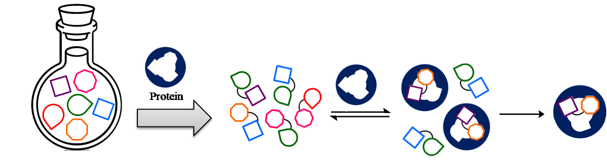 DCC system