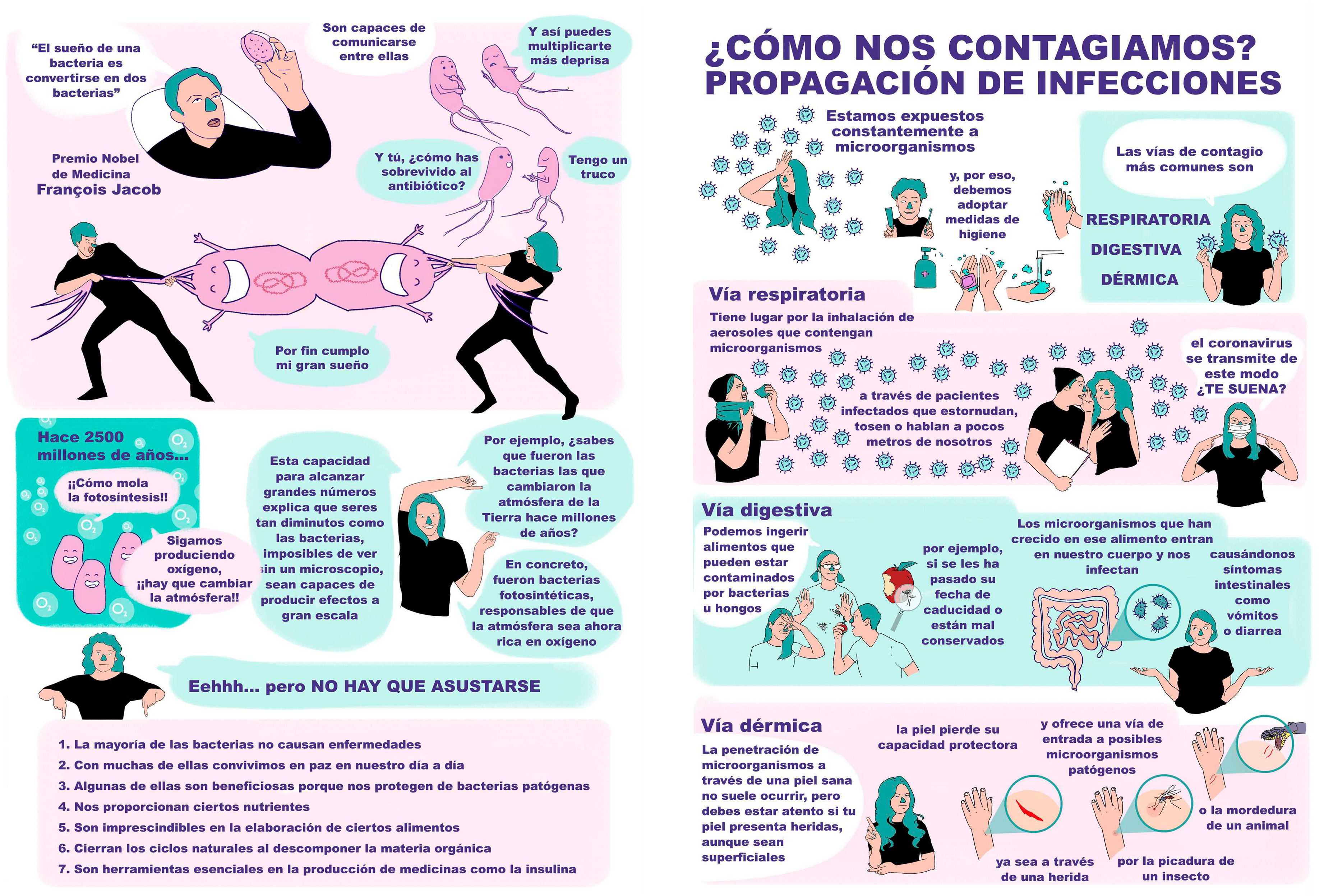 imagenes del libro
