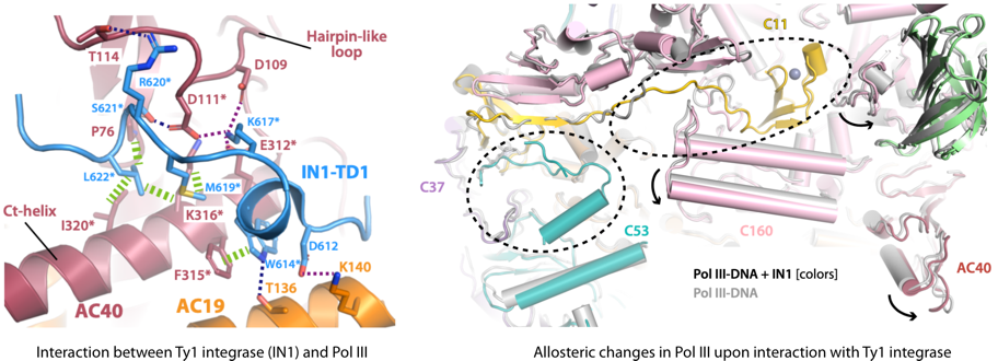 poliiity1in