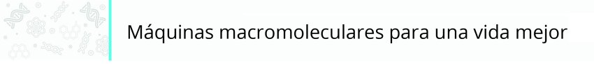 PROGRAMA_1