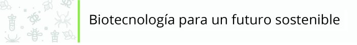 PROGRAMA_3
